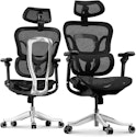 Flexispot ErgoX Max Ergonomic Chair for $360 + free shipping