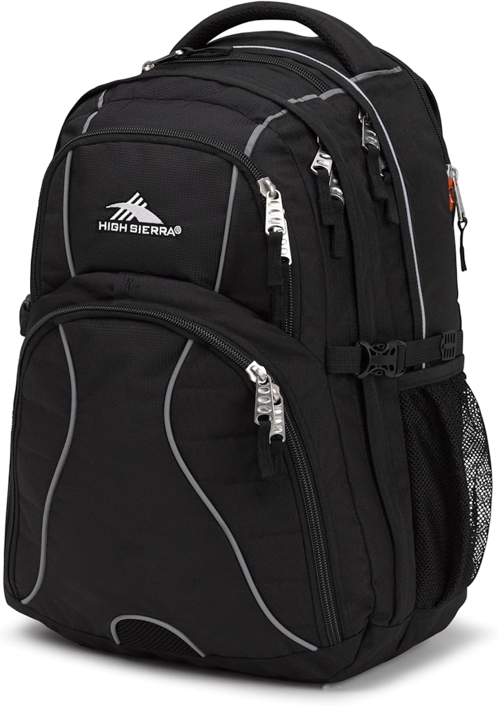 High Sierra Swerve Laptop Backpack: $23