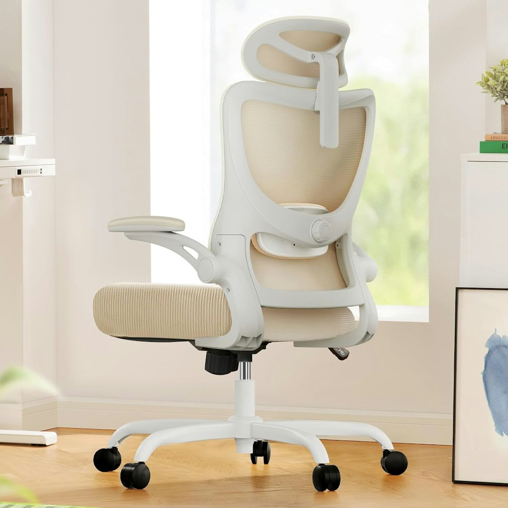 Marsail Ergonomic Office Chair: $59.99 in cart