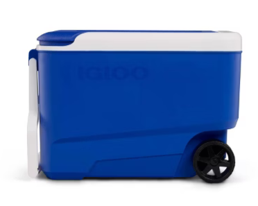  Igloo Wheelie Cool 38-Quart Portable Cooler : $19
