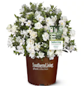 Landscaping & Live Goods at Home Depot: Up to 20% off + free shipping