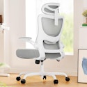 Marsail Ergonomic Office Chair with Adjustable Lumbar for $59.99 in cart + free shipping