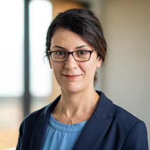Headshot of Hanna Hajishirzi.