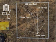 a photo of the ground with an illustration overlayed, denoting where the sticks are on the ground, and how much fuel it provides to a wildfire.