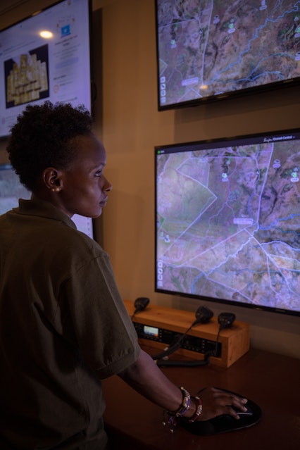 A wildlife conservationist observes a map of animal activity on a monitor.