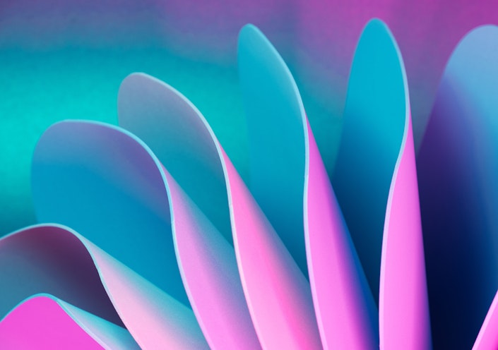 Abstract image of leaves bending over one another.