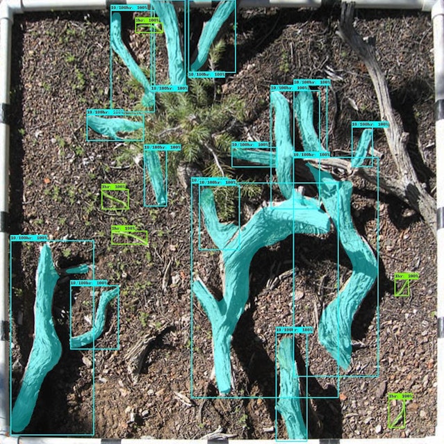 In a photograph of forest brush, large sticks are digitally overlaid in blue.