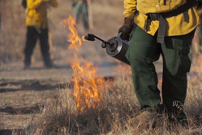A firefighter starts a controlled burn on dry grass and brush.