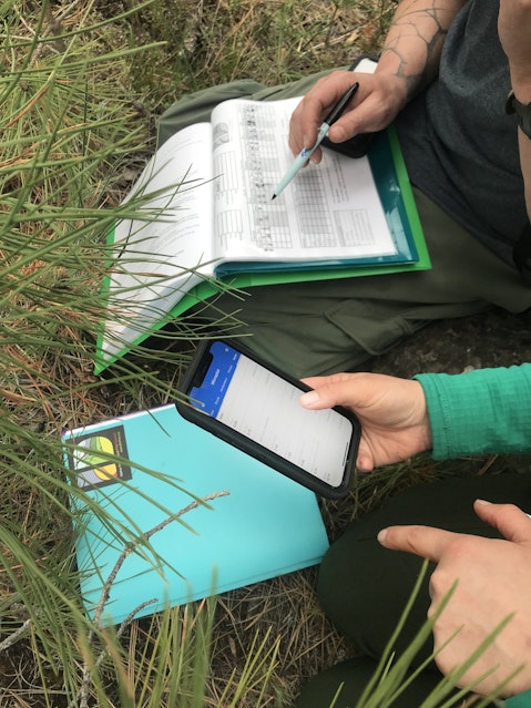 Two people kneel down in the grass and mark down measurements on a phone and in a notebook.