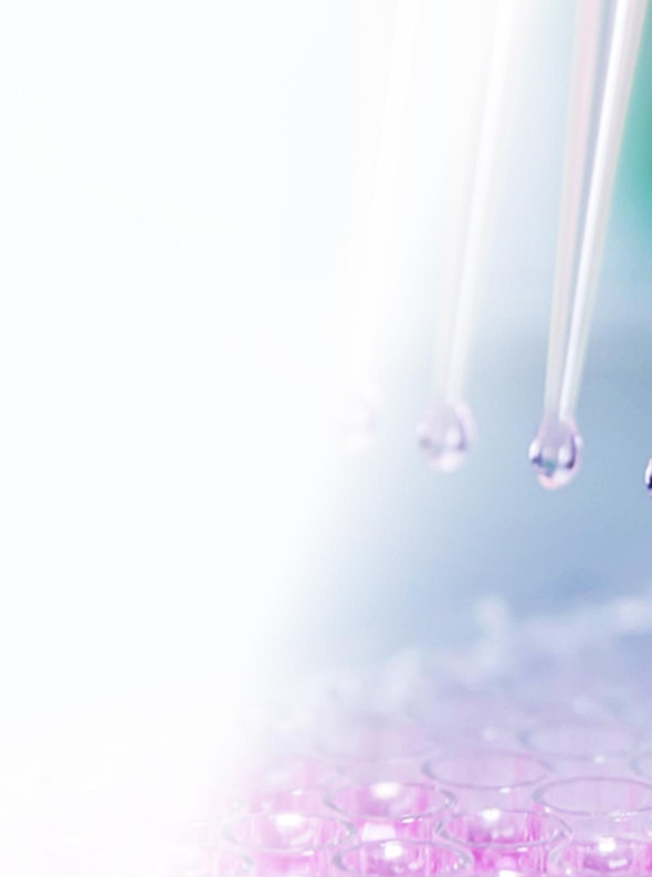 Cells being dispensed using electronic pipette in a laboratory.