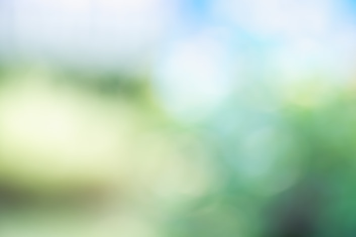 Blur background of green tree with sky bokeh nature light abstract