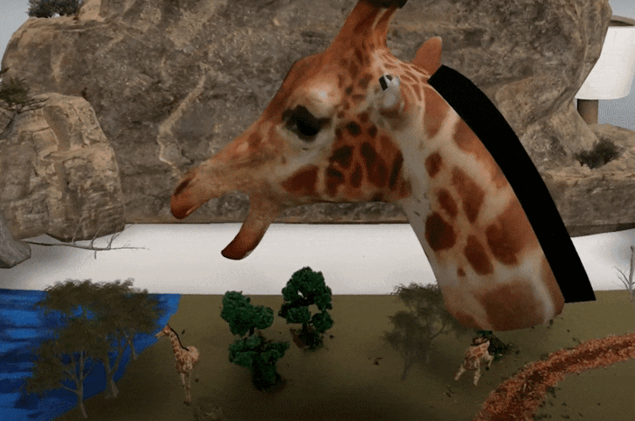 A GIF of an AR prototype shows a large rotating giraffe head. Attached to the ear is a GPS device that is about the size of a deck of cards. After, a line animation represents the deployment of the GPS technology to other giraffe, which are standing in the landscape below.