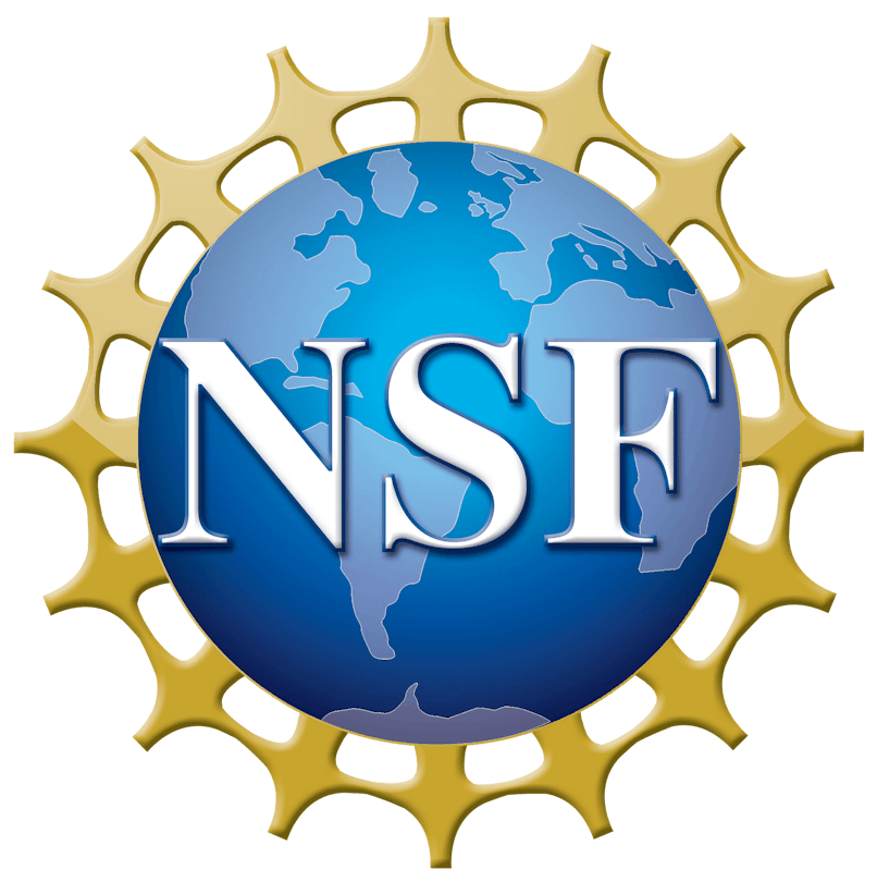 The National Science Foundation logo, which is a blue Earth surrounded by a gold web and the letters NSF.