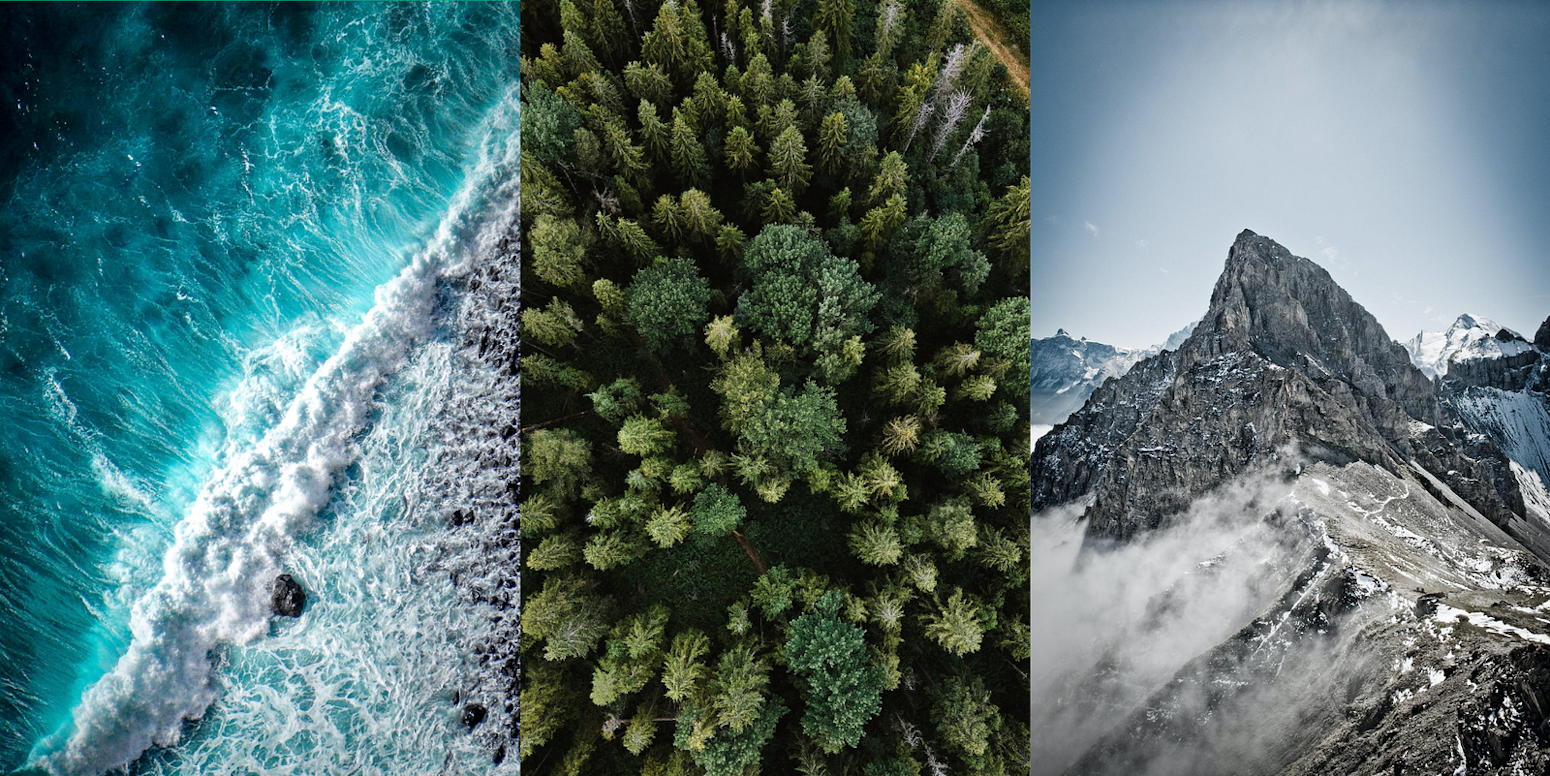 A triptych: an ocean, a forest, and a mountain.