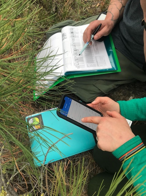 A woman points at an app on her smart phone while man compares notes he's taken on a paper spreadsheet.