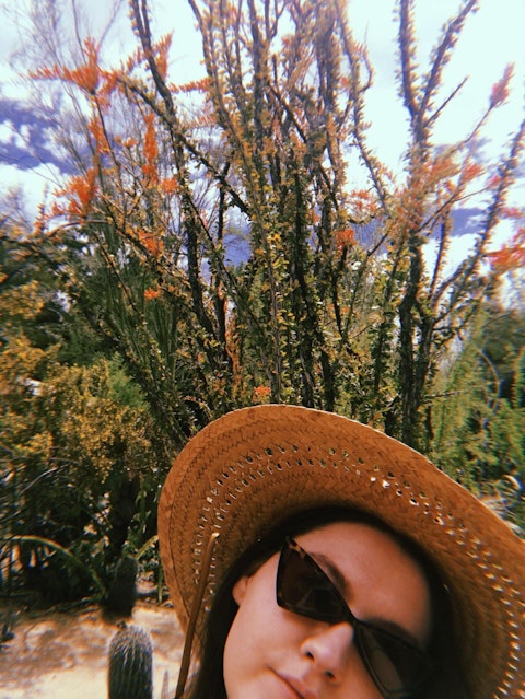 A woman wearing a straw hat and black sunglasses stands in front of a cactus.