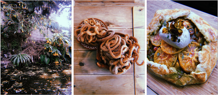 (Left to Right): A river in Xochimilco. Churros made during a cooking class in Mexico City. Baked heirloom tomato and pesto tart with burrata, finished with lemon thyme and pansy flowers from my garden.