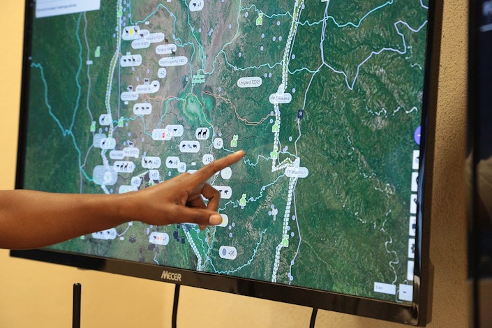 A researcher points at her EarthRanger instance.