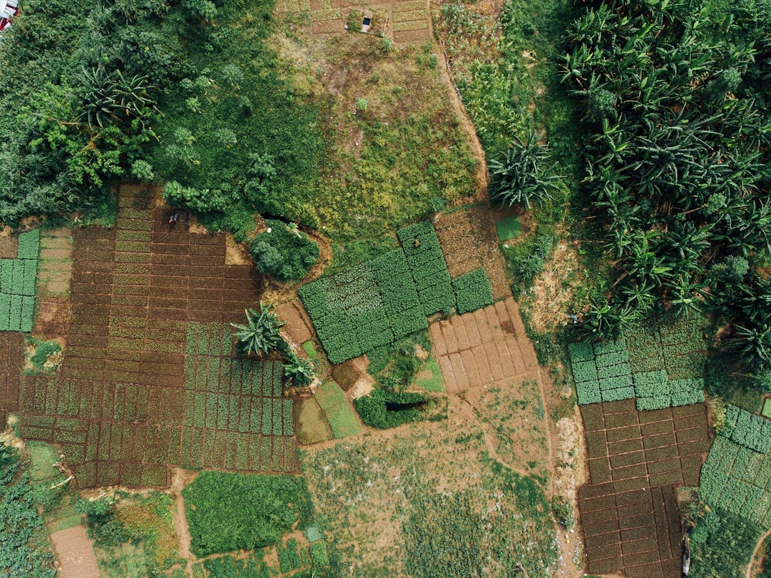 In partnership with global spatial data providers, Ai2 will develop a globally accurate, regularly updated cropland map that will be immediately useful to a wide range of stakeholders seeking to better understand the vital food systems they manage. These AI-driven crop maps will strengthen agricultural monitoring to secure the availability of high-quality, nutritious food and economic stability.