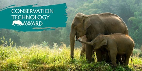 The Conservation Tech Award logo over a photo of two elephants.