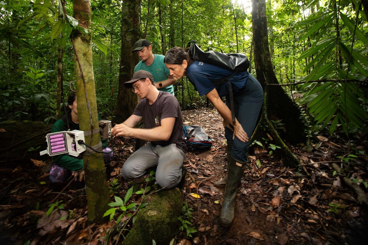 The Conservation X Labs team sets up Sentinel, a smart camera that uses edge AI to provide conservationists with real-time information. Photo courtesy Conservation X Labs.
