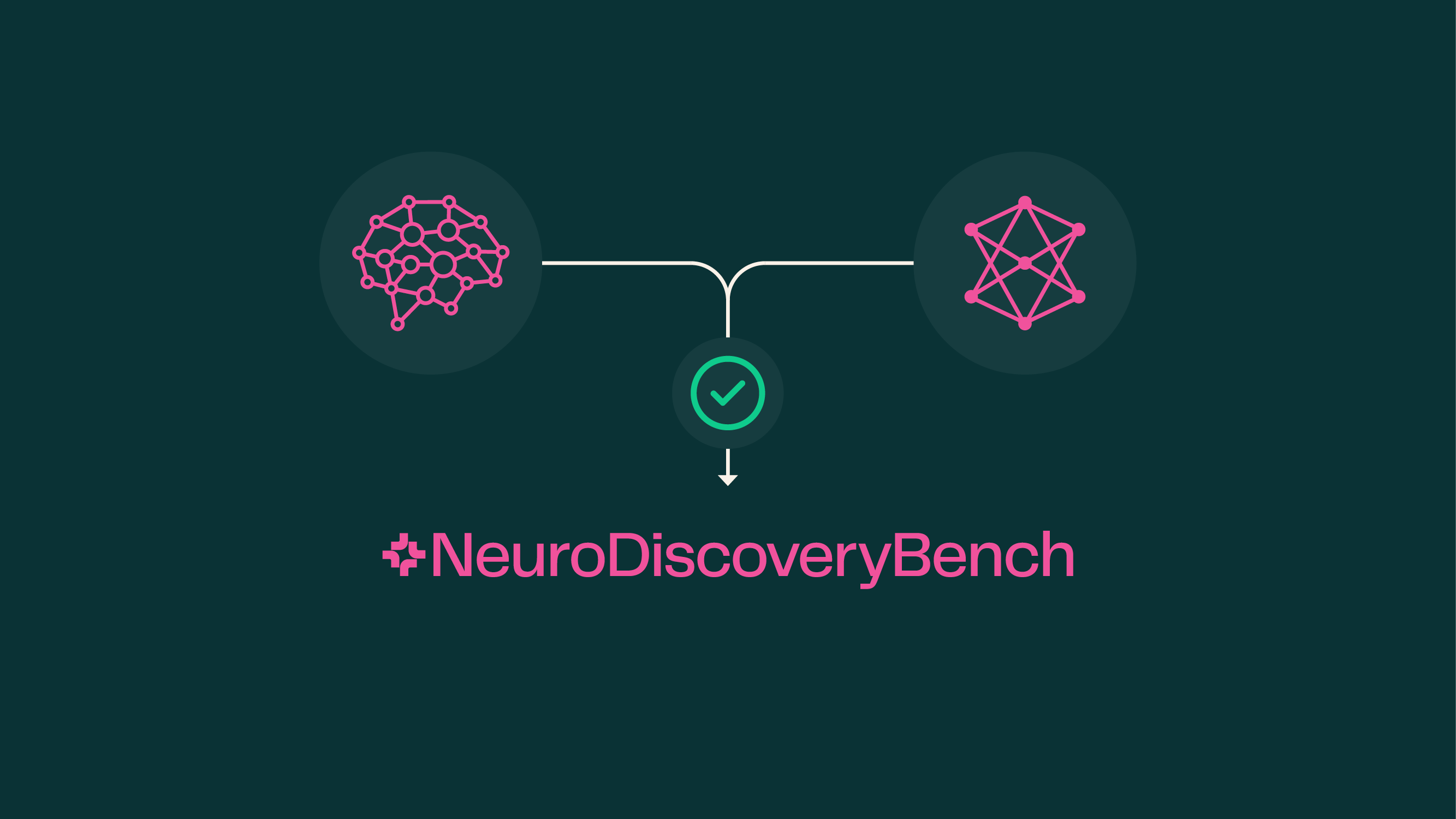 NeuroDiscoveryBench: Benchmarking AI for neuroscience data