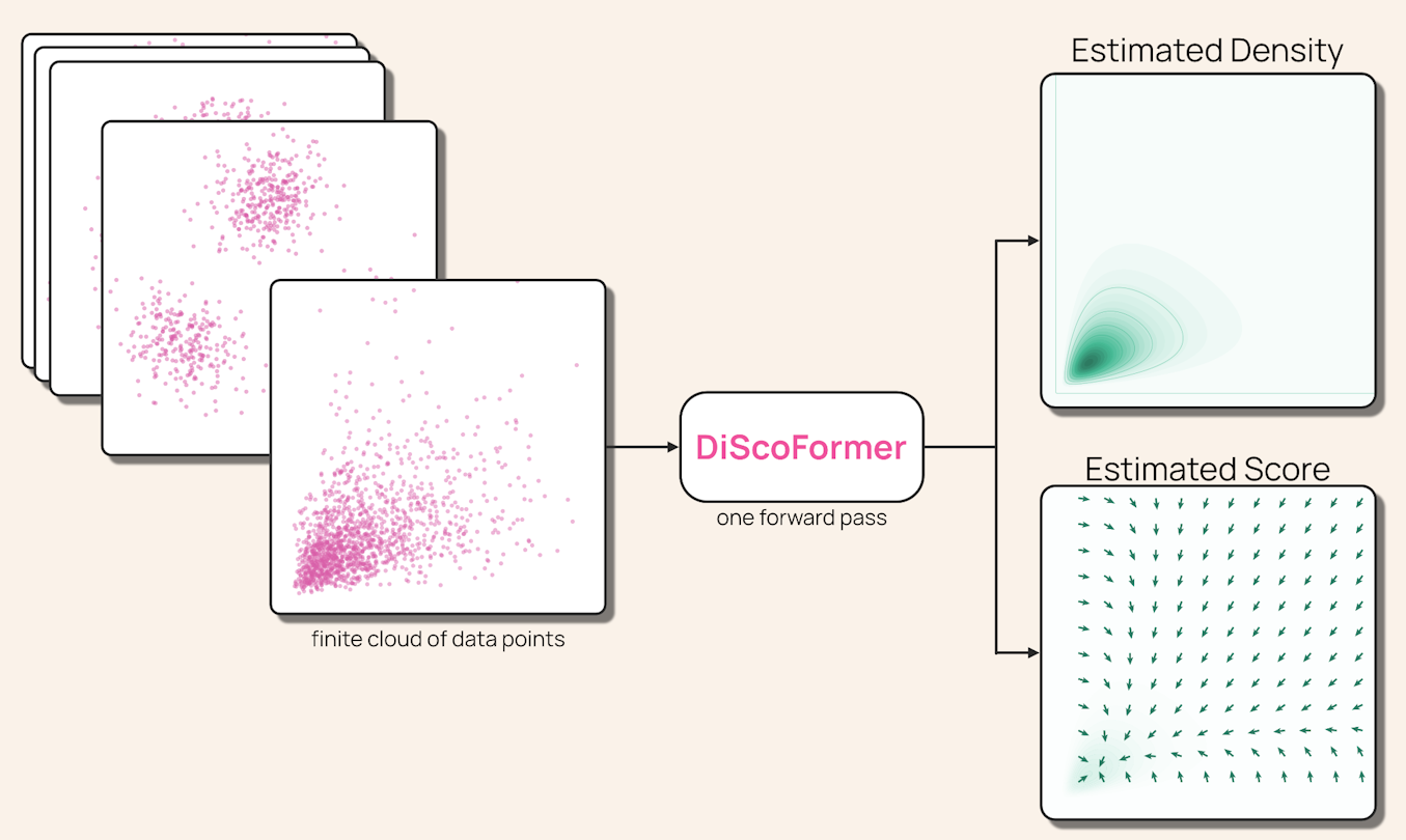 DiScoFormer Solves the Density-Versus-Score Trade-Off in Machine Learning