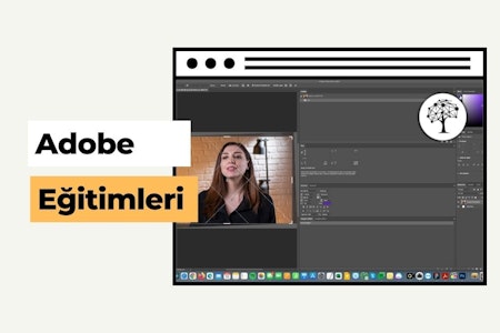 Adobe Eğitimleri