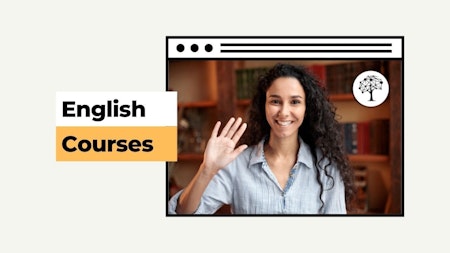 English courses with a girl and her computer screen, in the style of light yellow and dark silver, layered gestures --ar 16:9