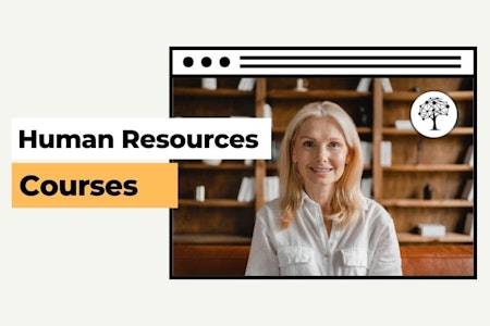 person sitting in a chair that says human resources courses, in the style of australian tonalism, website, women artists, mesoamerican influences, metalworking mastery, crisp and clean look, spectacular backdrops --ar 16:9