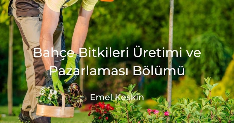 Bir kişi bahçede duruyor, eldiven takmış ve elinde rengarenk çiçeklerden oluşan bir sepet tutuyor. Yanlarında yerde bir saksı bitkisi duruyor. Arka planda, üzerinde beyaz bir harf olan uzun bir sopa yeşilliklerin arasında duruyor. Yakından bakıldığında, yaprakları açık bir bitki ve yerde bir ayakkabı görülüyor. Bahçe bitkiler ve renklerle doludur ve kişi çiçek sepetiyle bahçeyi hazırlamaktadır.