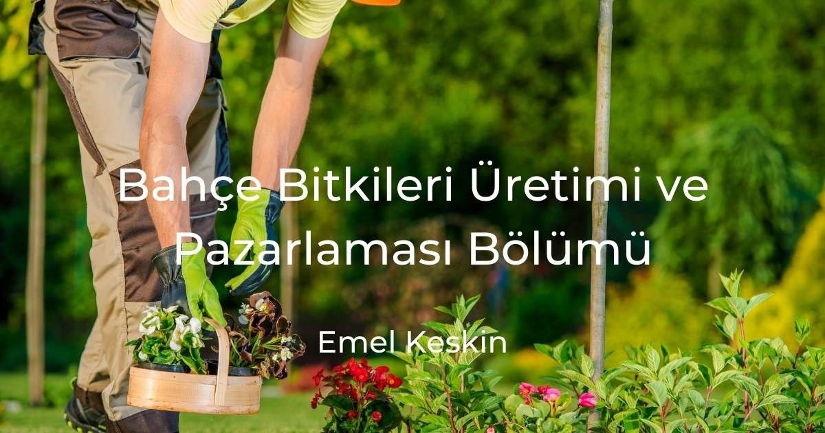 Bir kişi bahçede duruyor, eldiven takmış ve elinde rengarenk çiçeklerden oluşan bir sepet tutuyor. Yanlarında yerde bir saksı bitkisi duruyor. Arka planda, üzerinde beyaz bir harf olan uzun bir sopa yeşilliklerin arasında duruyor. Yakından bakıldığında, yaprakları açık bir bitki ve yerde bir ayakkabı görülüyor. Bahçe bitkiler ve renklerle doludur ve kişi çiçek sepetiyle bahçeyi hazırlamaktadır.