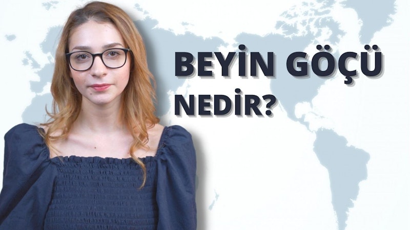 Gözlüklü ve mavi gömlekli bir kadın kameranın önünde durmaktadır. Koyu renk saçları var ve gözleri görünüyor. Gözlükleri siyah, ince camlı ve altın çerçevelidir. Düşünceli görünen bir ifadeyle doğrudan kameraya bakmaktadır. Mavi gömleği sade ve hafif kırışıktır. Sol kolunda gümüş bir saat ve bir çift gümüş küpe var. Arkasında, üzerinde daireler ve metin satırları olan bir harita görülüyor. Görüntünün sağ tarafında, üzerinde bir harf ve çeşitli semboller bulunan siyah beyaz bir logo görülüyor. Yirmili yaşlarının ortasında olduğu anlaşılan kadın beyaz duvarları ve beyaz zemini olan bir odada durmaktadır.