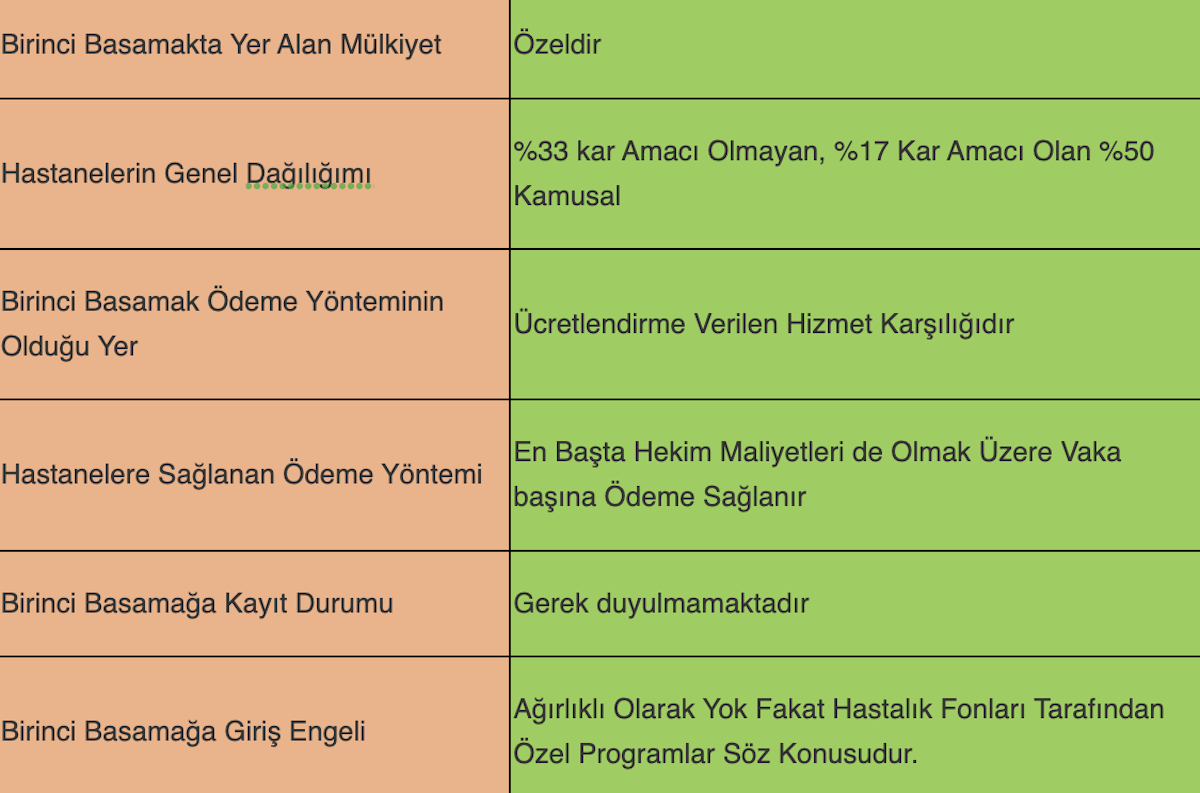 Almanya’da Hizmet Sağlayıcı Kurumlar ve Ödemeleri