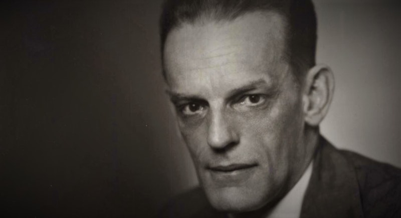 Resimde ciddi bir ifadeye sahip bir adam görülüyor. Kısa saçlıdır ve takım elbise giymektedir. Yüzü yakın plandadır ve gözleri, kulakları, ağzı ve burnu görülebilmektedir. Cildi koyu renktir ve arka plan beyaz benekli siyahtır. Gözleri tetikte ve odaklanmış, kulakları saçlarının altından hafifçe görünüyor, burnu hafif sivri ve ağzı ciddi bir ifadeyle kapalı. Yirmili yaşlarının sonunda ya da otuzlu yaşlarının başında görünüyor. Görüntü profesyonel bir görünüme sahip.