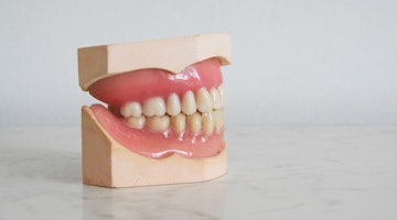 Diş Protez Teknikeri