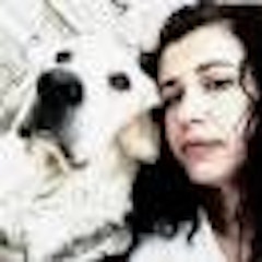 Bu resimde güzel bir arka planın önünde kucağında küçük beyaz ve kahverengi bir köpekle duran bir kadın görülüyor. Kadın yavru köpeğe sevgiyle bakarken yüzünde nazik bir gülümseme var. Köpek kulakları hafifçe dikilmiş ve gözleri merakla açılmış bir şekilde kadına bakıyor. Kadının saçları yüzünden geriye doğru toplanmış, üzerinde açık mavi bir tişört ve mavi bir kot pantolon var. Güneş gökyüzünde pırıl pırıl parlıyor ve manzaranın renkleri capcanlı. Kadının duruşu ve yüzündeki ifade, köpekle aralarında karşılıklı hayranlık ve koşulsuz sevgiden oluşan derin bir bağ olduğunu gösteriyor.