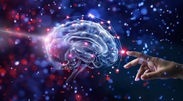Evrenin En Karmaşık Yapısı: Beyin