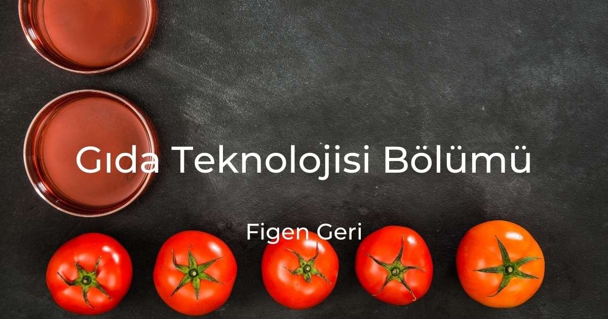 Çeşitli boyut ve renklerde bir grup domates, belirgin bir şekilde kırmızı olan bir grup domatesin yanında resmedilmiştir. Siyah bir yüzey üzerine yerleştirilmiş olan domatesler, koyu arka plana karşı öne çıkan parlak, canlı renklere sahip. Resmin sağ tarafında yer alan bir domatesin yeşil sapı sahneye ekstra bir doku katıyor. Diğer domateslerin yakın çekimleri, kırmızı domatesin yuvarlak şekli ve derin tonu gibi bireysel özelliklerini ortaya koyuyor. Domatesler bir arada kümelenerek görsel açıdan çekici bir sahne oluşturuyor.