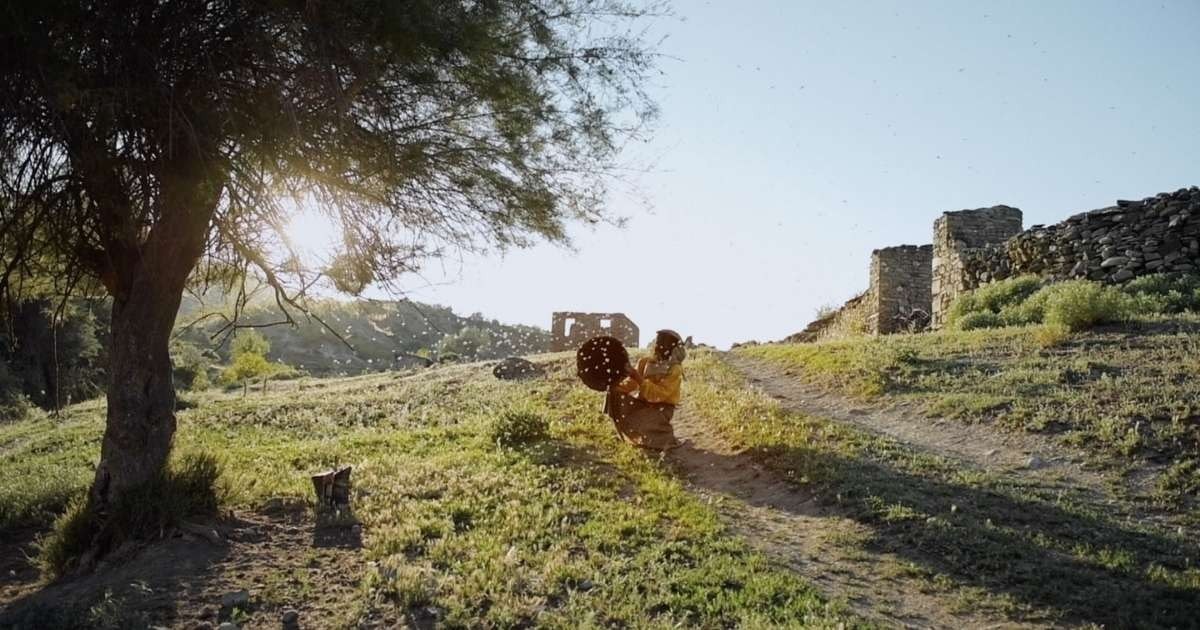 Bir adam, çimenlik bir alan ve taş bir duvarla çevrili bir tepede oturmaktadır. Başında siyah bir şapka var ve çimenlerin üzerine diz çökmüş. Arkasında, alana gölge düşüren büyük bir ağaç var. Ön planda taş duvara doğru giden toprak bir patika var. Patika üzerinde bir lastik ve görüntüde hafif bulanık olan metal bir nesne var. Çimenler yakın plandadır ve güneşte çiy parlamaktadır. Gökyüzü açık ve rüzgâr çimenlerin ve ağaçların arasından hafifçe esiyor. Adam ufkun ötesine bakıyor ve manzaranın güzelliğini seyrediyor.