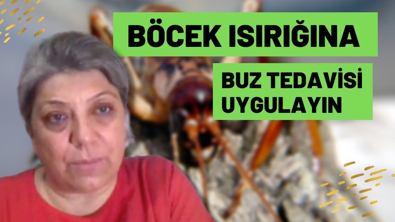 Genç bir kadın düz bir arka planın önünde, canlı kırmızı bir gömlek giymiş halde duruyor. Omuzlarına dökülen uzun siyah saçları var ve elleri önünde birbirine kenetlenmiş. Yüz ifadesi nötr ve bakışları ileriye odaklanmış. Gümüş bir kolye takıyor ve gömleği yumuşak, hafif bir malzemeden yapılmış. Gömleği hafif v yakalı ve kısa kollu klasik bir kesime sahip. Kırmızı kumaş açık teninde öne çıkıyor ve renk görüntüye enerji ve canlılık katıyor.