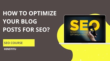 How To Optimize Your Blog Posts For SEO?