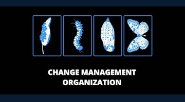 What is Change Management Organization?