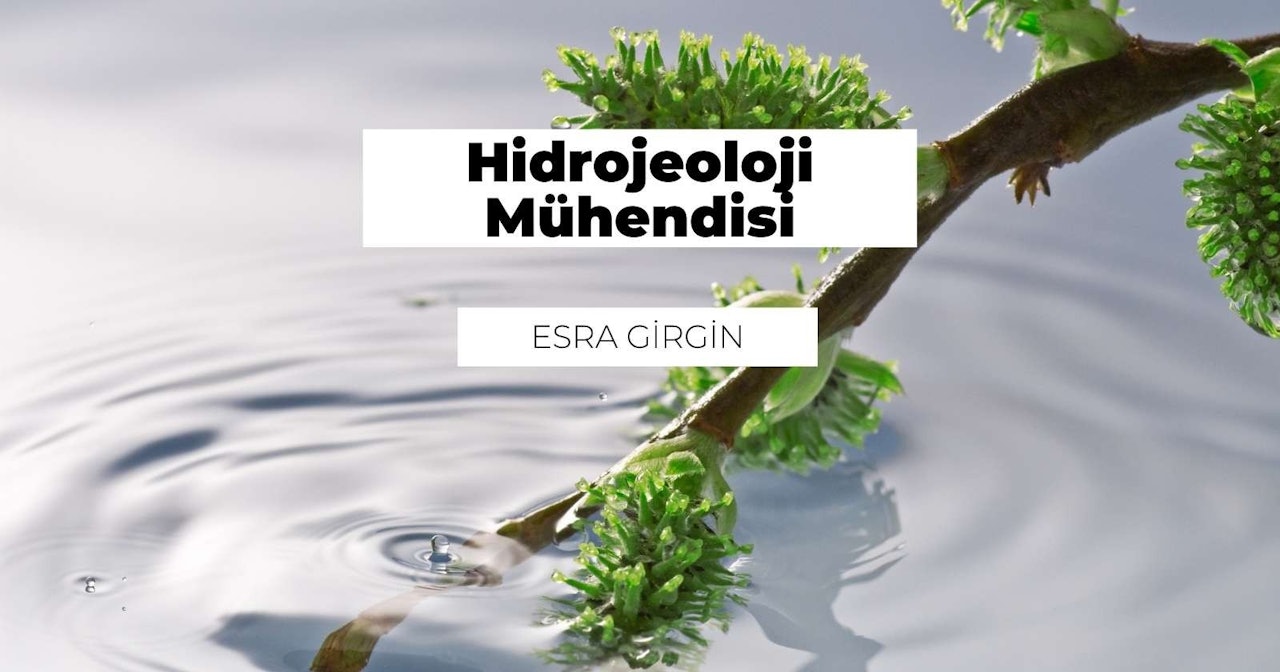 Yeşil bir bitkinin bu yakın çekim görüntüsünde, ana gövdeden aşağı doğru sarkan ve narin, parlak yeşil yapraklar filizlendiren birçok küçük, ince sap görülüyor. Yaprakların üzerinde parlayan su damlacıkları ve arka planda beyaz merkezli siyah bir daire görülüyor. Bitki sığ bir su havuzunda büyüyor, bu da bitkinin yüzeyde yüzüyormuş gibi görünmesine neden oluyor. Arka plan bulanıklaştırılarak bitkinin görüntüde öne çıkması sağlanmış. Bu görüntü, kendi ortamında gelişen bir bitkinin güzelliğini ve inceliğini yakalıyor.