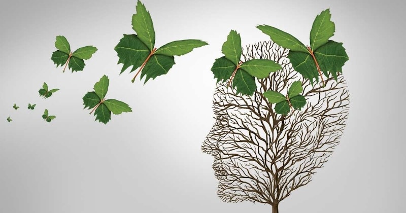 Dalları gökyüzüne kadar uzanan yemyeşil bir ağaç görünüyor. Yeşil ve sarı karışımı yaprakları esintide hafifçe sallanıyor. Etrafında birkaç kelebek kanat çırpıyor, turuncu ve beyaz kanatları güneş ışığını yansıtıyor. Daha yakından bakıldığında, her biri kendine özgü şekil ve dokuya sahip tek tek yapraklar görülür. Yaprakların karmaşık detayları görülmeye değer, bu da onu gerçekten özel bir görüntü haline getiriyor.