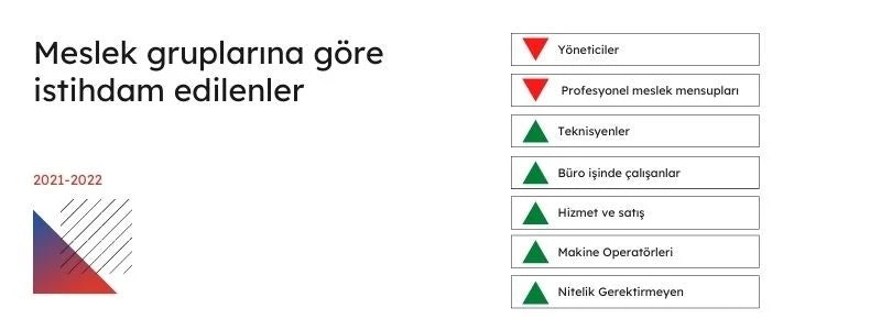 meslek gruplarına göre istihdam edilenler