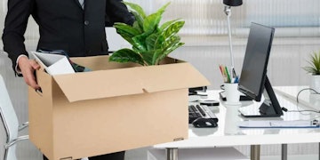 Bir kişi elinde içi yemyeşil bir bitkiyle dolu beyaz bir kutu tutuyor. Kişinin elleri, parmakları birbirine yakın olacak şekilde kutuyu sıkıca tutmaktadır. Kutunun, içindeki bitkiyi gösteren şeffaf plastik bir kapağı vardır. Bitkinin canlı, sağlıklı yeşil yaprakları ve koyu renk kökleri vardır. Kişinin arkasında beyaz arka planlı bir bilgisayar ekranı ve yeşil desenli minderli bir sandalye vardır. Masanın üzerinde çeşitli kalem ve fırçalarla dolu bir fincanın yanı sıra bir klavye ve fare var. Kişi gri bir gömlek giyiyor ve yüzünde düşünceli bir ifade var.