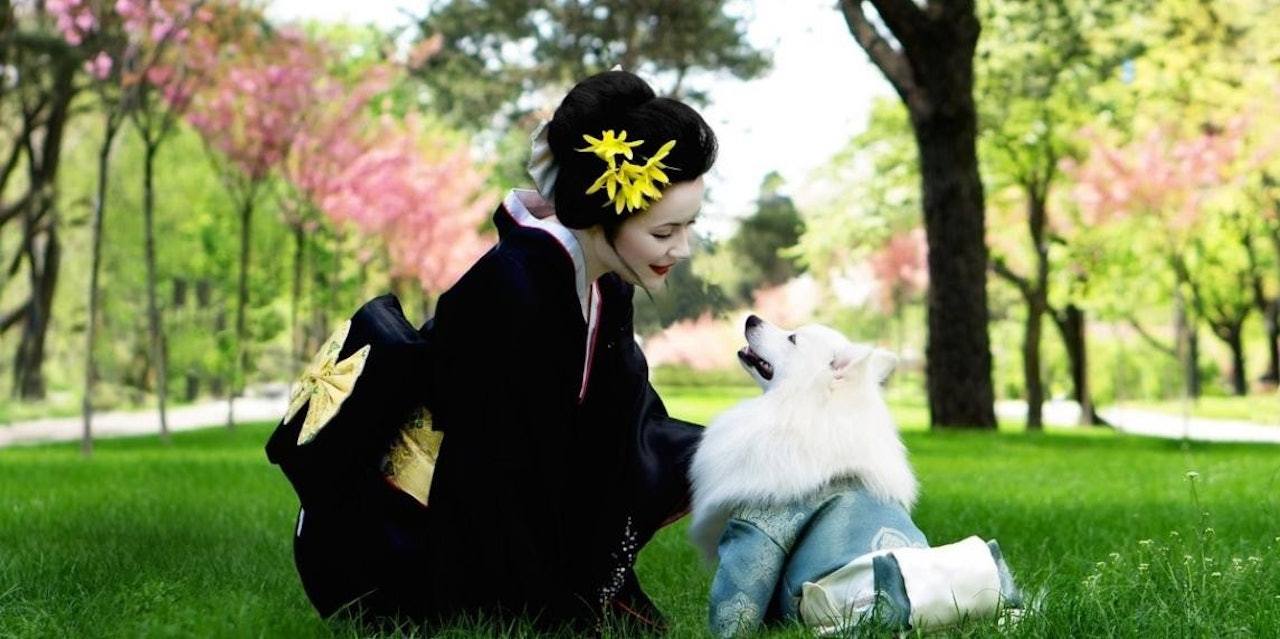 Geleneksel Japon kimonosu giymiş bir kadın, yanında küçük beyaz bir köpekle parkta duruyor. Kadının saçları sarı çiçeklerle süslüdür ve kimonosu mavi ve beyaz desenlerle bezenmiştir. Köpeğin üzerinde açık mavi bir ceket var ve ağzı oyuncu bir tavırla açık. Arkalarında, yemyeşil bir tarla uzaklara doğru uzanıyor ve çimlerin üzerinde oturan küçük bir kedi görülüyor. Kadının yüzü sakin ve huzurludur ve bulunduğu ortamdan memnun görünmektedir.
