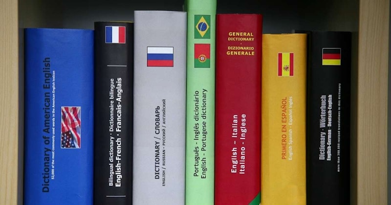 Bir yüzey üzerinde farklı dillerde bir dizi kitap sergilenmektedir. Arkada beyaz metinli kırmızı dikdörtgen bir nesne, siyah metinli beyaz bir kutu, kırmızı metinli sarı bir kap, siyah metinli yeşil bir etiket ve bayraklı mavi bir kitap var. Ön tarafta siyah beyaz bir işaret ve bir kitabın yakın çekimi var. Mavi kitabın üzerinde rüzgarda dalgalanan kırmızı, beyaz ve mavi renklerden oluşan bir bayrak var. Kitap sırasının ortasında, mavi arka planı ve beyaz yıldızları olan bir bayrağın yakın çekimi yer alıyor. Tüm kitapların farklı dillerde başlıkları var ve bu da resme çeşitli ve çok kültürlü bir hava veriyor.