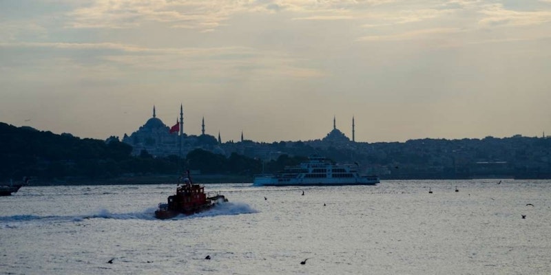 Bir tekne suda, şehir siluetiyle çevrili bir şekilde durmaktadır. Ufuk çizgisi yüksek binalardan, ağaçlardan ve göze çarpan bir kuleden oluşuyor. Tekne beyaz renkte ve suyun ilerisinde bir grup bina görülüyor. Uzaktaki ağaçların koyu yeşil bir tonu var ve teknenin yan tarafına vuran birkaç küçük dalga var. Güneş parlıyor ve su yüzeyinde güzel bir yansıma yaratıyor. Huzurlu ve sakin bir manzara.